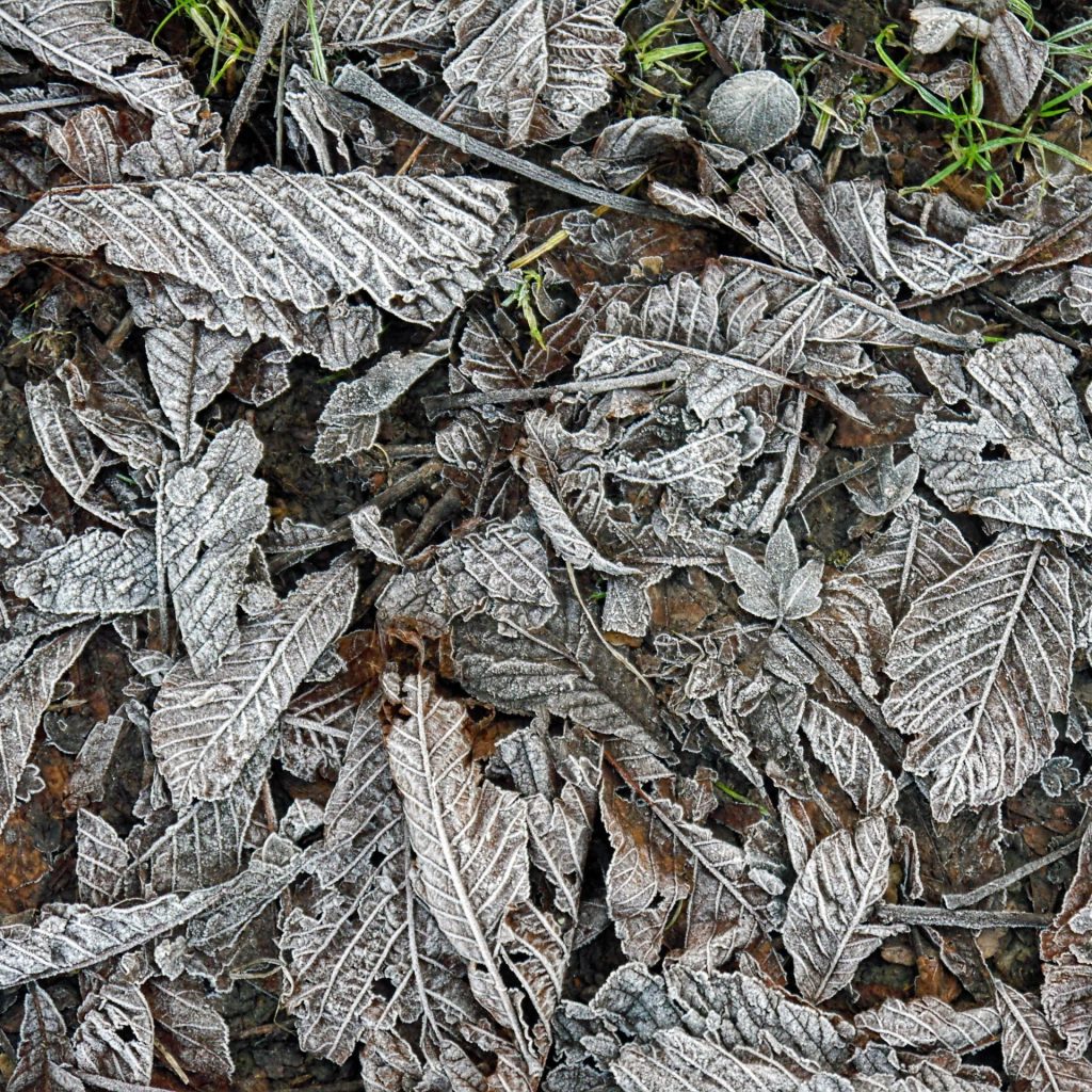 North Downs Landscapes