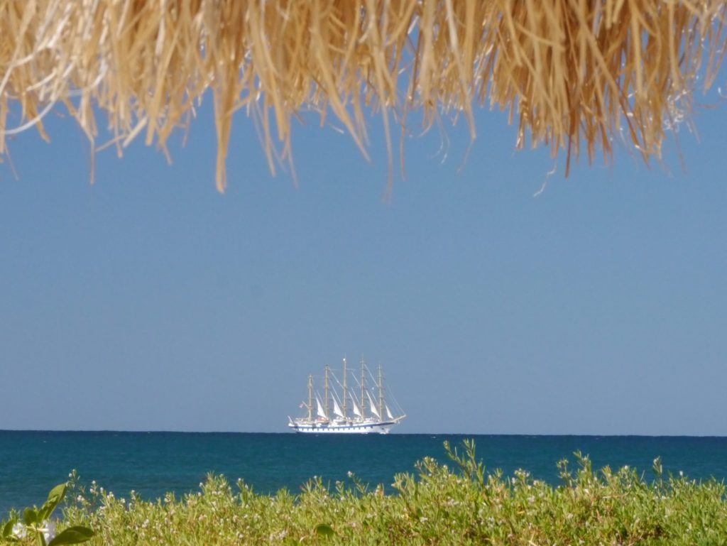 Nature Photography Prints