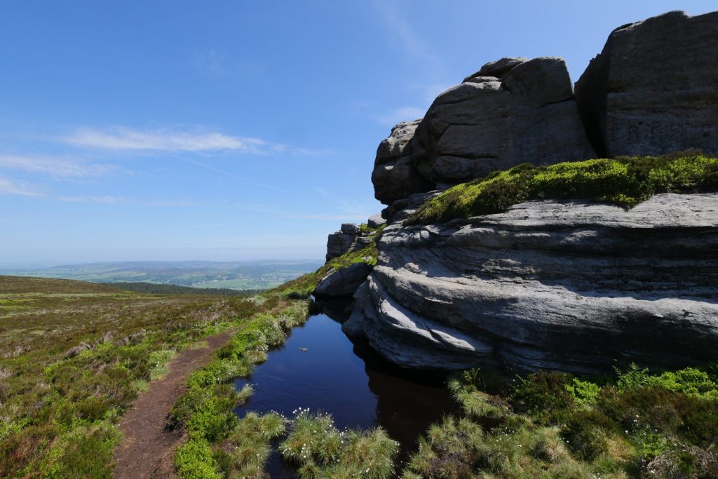 Multidisciplinary Approach