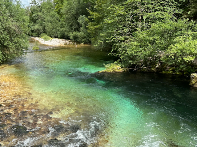 Grassy field with yellow flowers and a mountain by the sea.