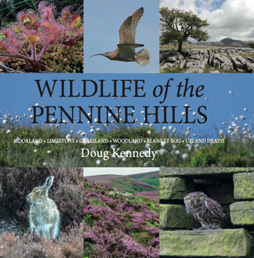 Sight Reading For Guitar