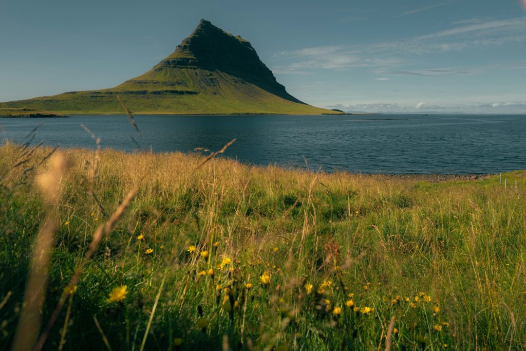 Grassy field with yellow flowers and a mountain by the sea.
