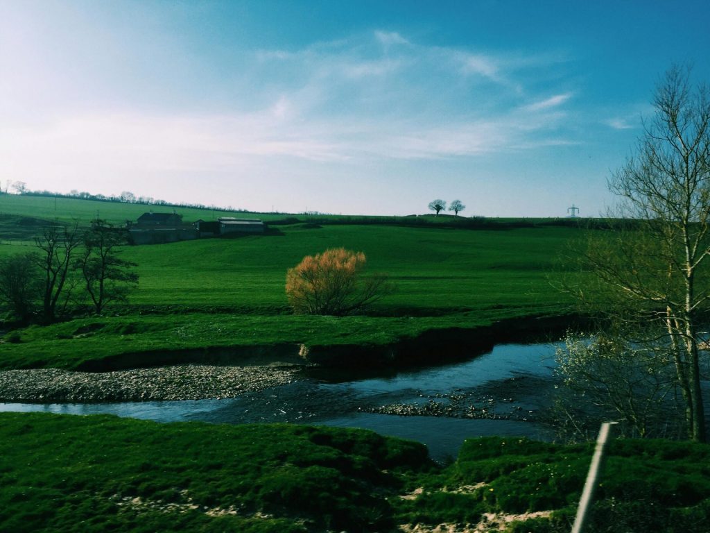 Serene landscape of green fields and a tranquil creek in Devon, England.