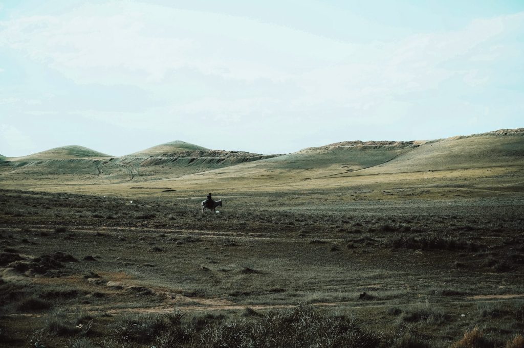 a person riding a horse in a field